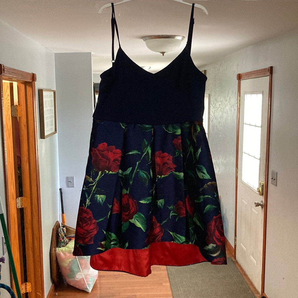 Cute Blue dress with roses